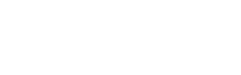 ALG Company